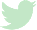 Twitter (not X) icon
